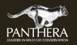 panthera