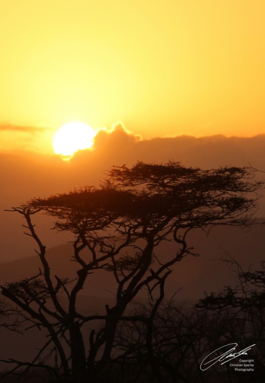 09013 - 20100817 - e - sig