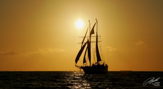 20090510 - KC0O5728 - E