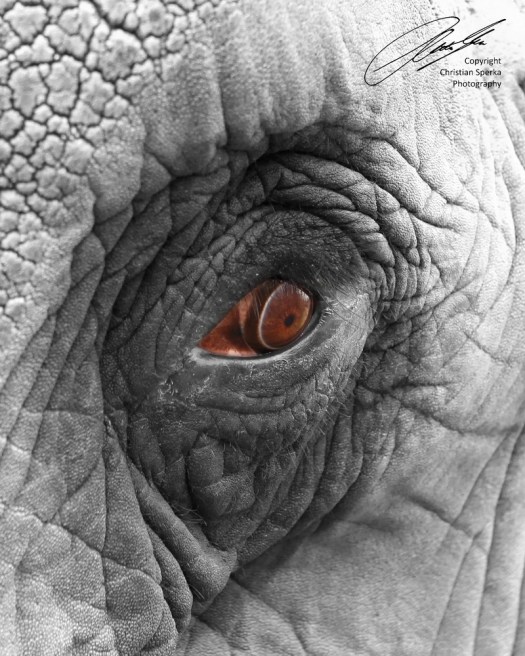 20120222 - CS2_1195 - E - SIG