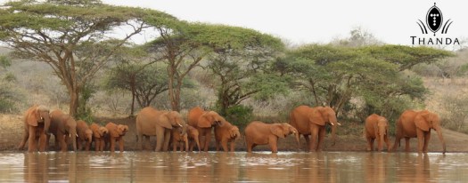 20120703 - CS1_8001 - E - SIG