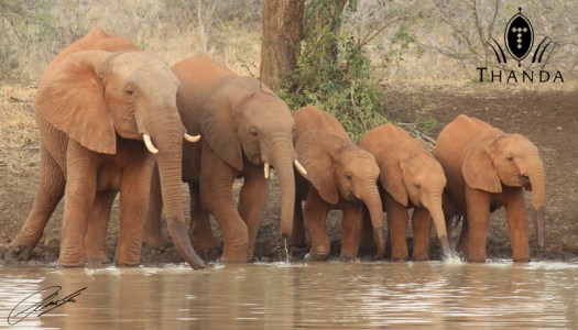 20120703 - CS1_8002 - E - SIG