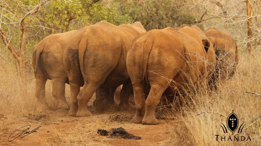 20120704 - CS1_8155 - E - SIG