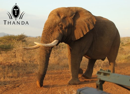 20120705 - CS1_8326 - E - SIG