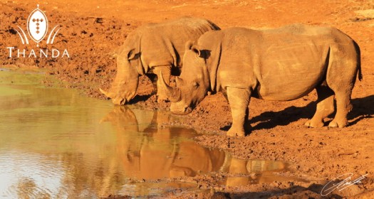 20120710 - CS1_8812 - E - SIG