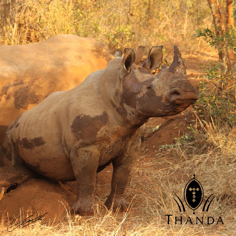 20120712 - CS1_8999 - E - SIG