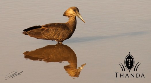 20120725 - CS1_0695 - E - SIG