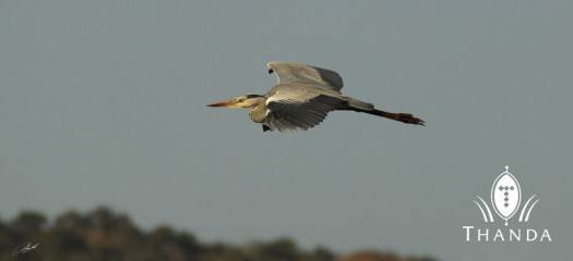 20120725 - CS1_0710 - E - SIG