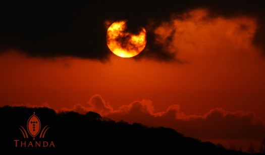 20120308 - CS1_1803 - E - SIG