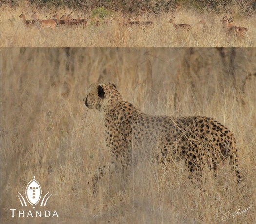 20120813 - Collage - E - SIG