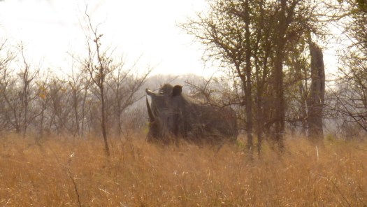 20120827 - P1010935 - E