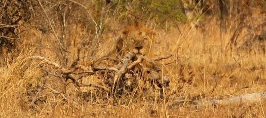 20120830 - CS1_6498 - E