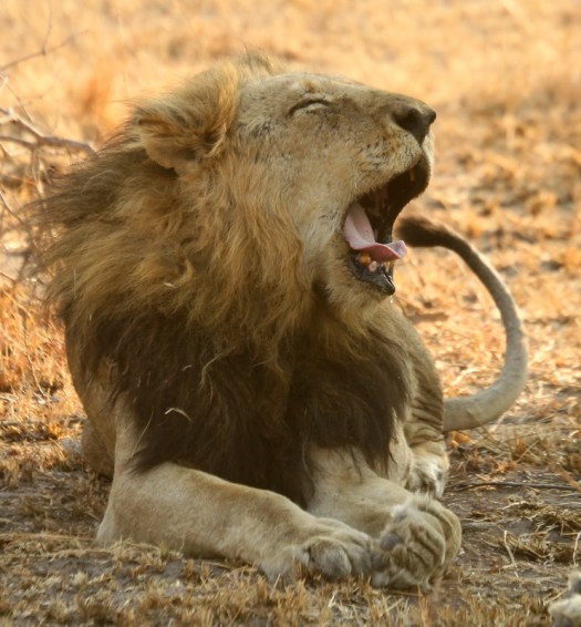 20120830 - CS1_6611 - E