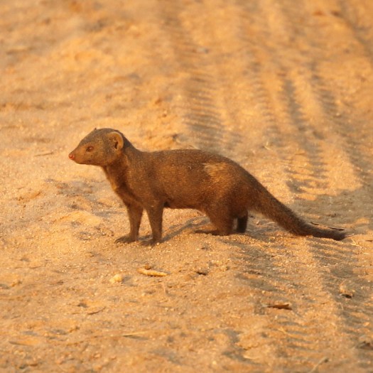 20120830 - CS1_6753 - E