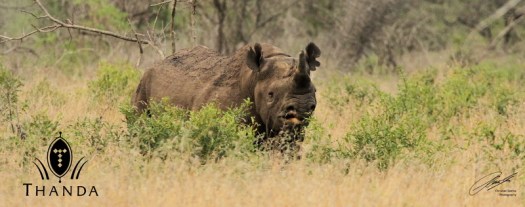 20120929 - CS3_9228 - E - SIG