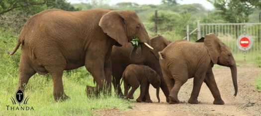 20121017 - CS3_7412 - E - SIG