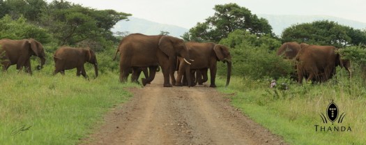 20121017 - CS3_7425 - E - SIG