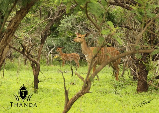 20121106 - CS3_0978 - E - SIG