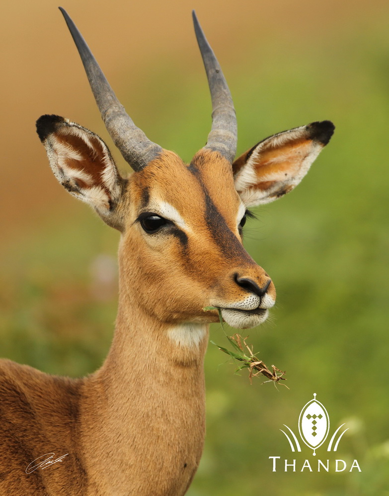 20121128 - CS3_1160 - E - SIG