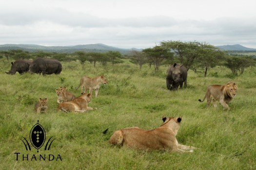 20121130 - CS2_1651 - E - SIG