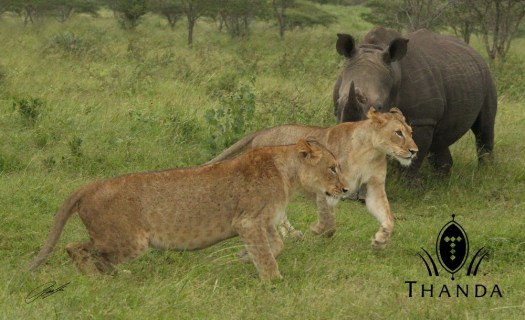 20121130 - CS2_1656 - E - SIG