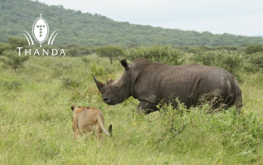 20121130 - CS2_1718 - E - SIG