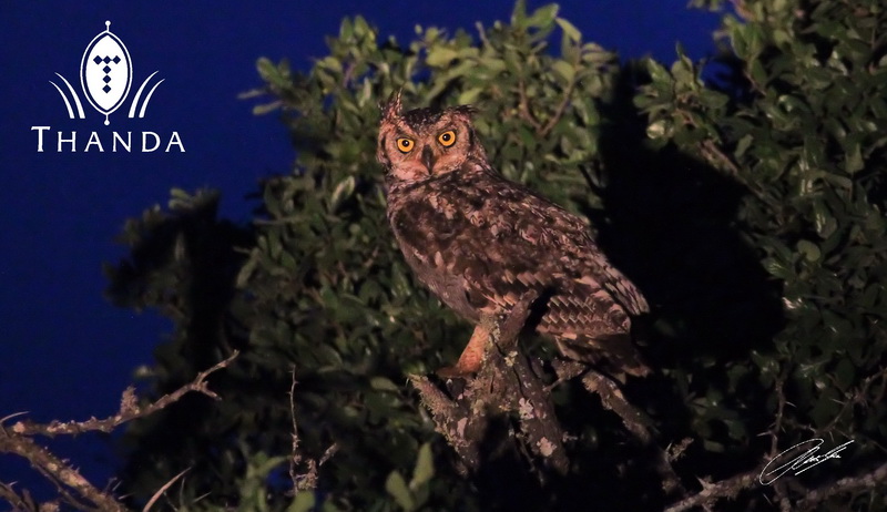 20121130 - CS2_1827 - E - SIG