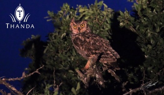 20121130 - CS2_1827 - E - SIG