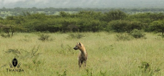 20121201 - CS2_1847 - E - SIG