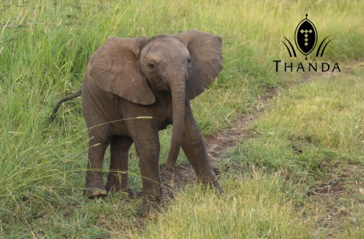 20121203 - CS2_2355 - E - SIG