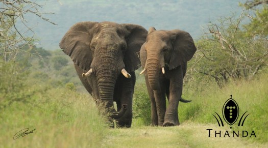 20121203 - CS2_2390 - E - SIG