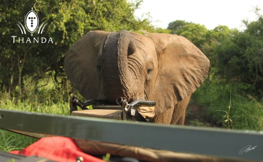 20121205 - CS2_2732 - E - SIG