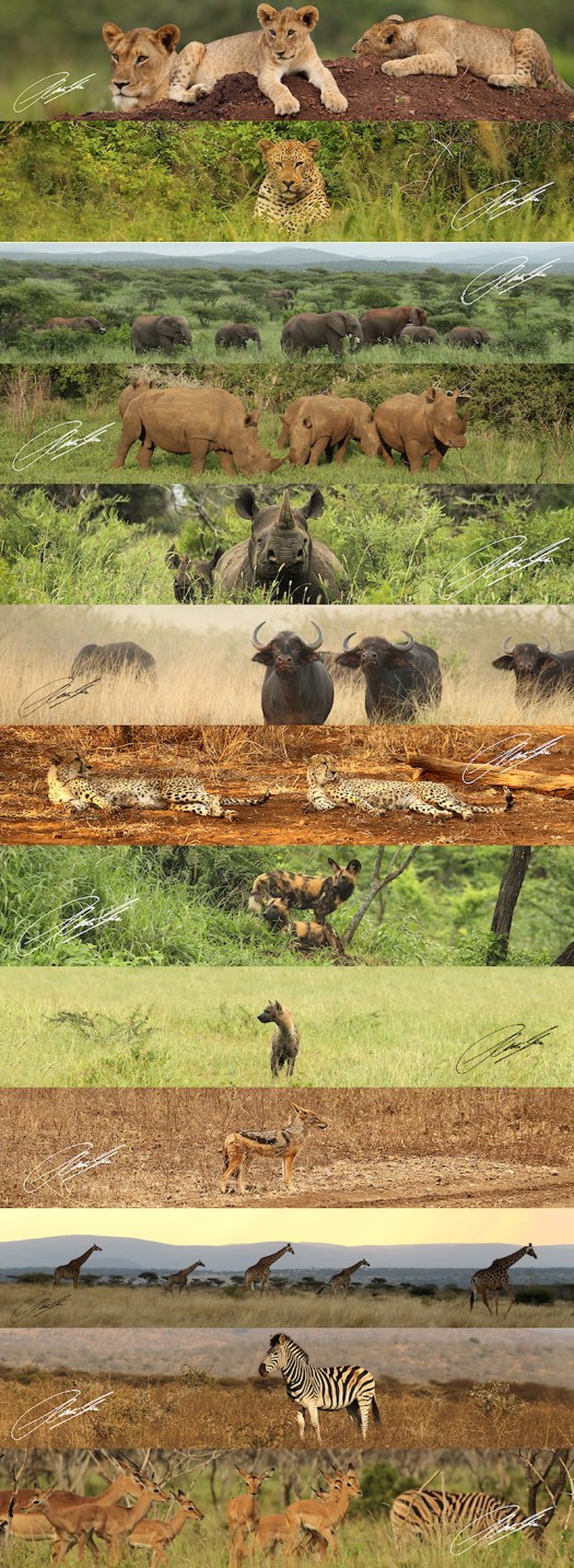 20121210 - WP COVERS - 800