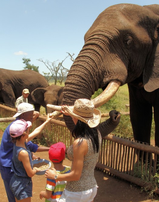 20121224 - CS2_4968 - E