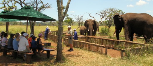 20121224 - CS2_5066 - E