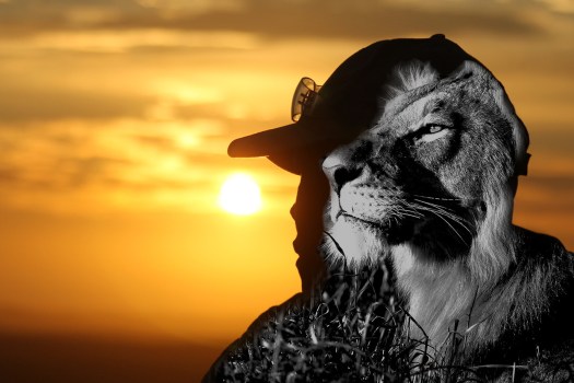 20120627 - CS1_0253 - E - SIG - S 2 - 10 x 15