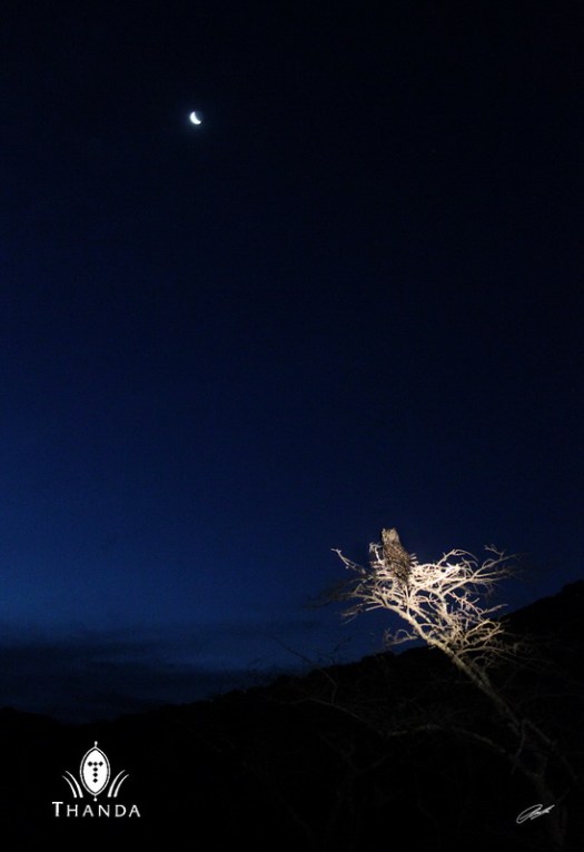 20121217 - CS2_3474 - E 3 - SIG