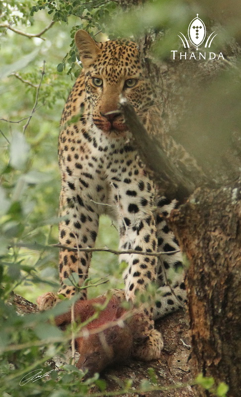 20121220 - CS2_4248 - E - SIG