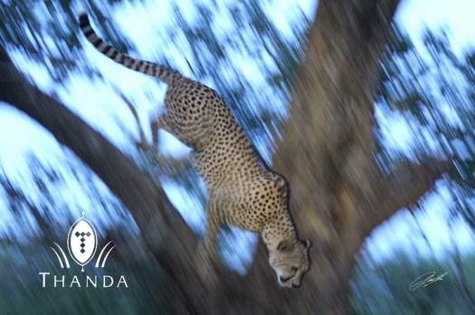 20121220 - CS2_4286 - E - SIG