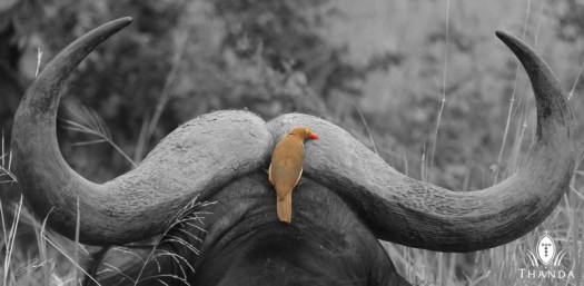 20121221 - CS2_4340 - E 2 - SIG