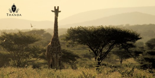 20121224 - CS2_4805 - E - SIG