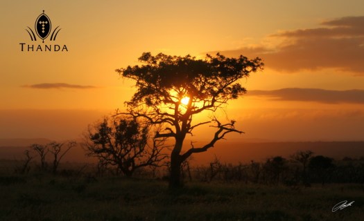 20121231 - CS2_5731 - E - SIG