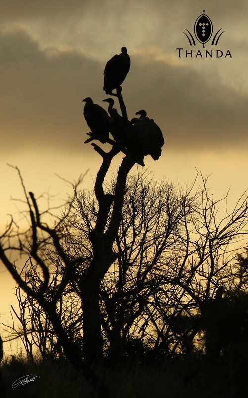 20121231 - CS2_5779 - E - SIG