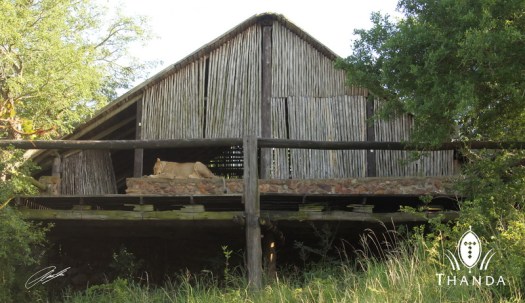 20130105 - CS2_6774 - E - SIG