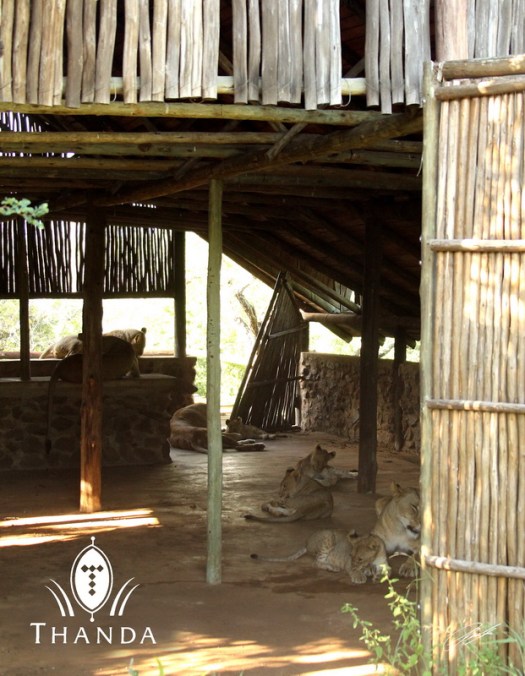 20130105 - CS2_6785 - E - SIG