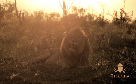 20130116 - CS2_7806 - E - SIG