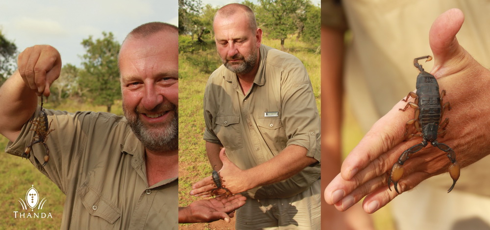 20130118 - Collage 2015 - SIG