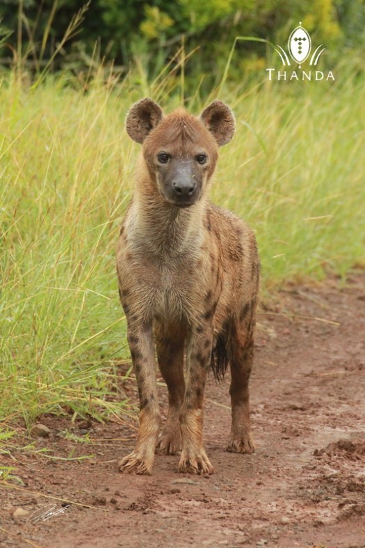 20130121 - CS2_8380 - E - SIG