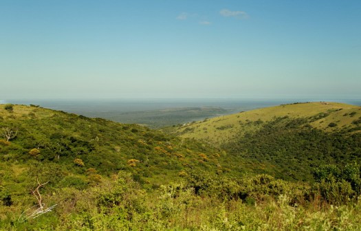 20130123 - CS2_8909 - E - SIG