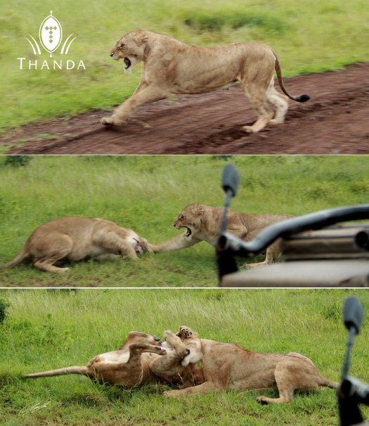 20130126 - Collage 1718 - SIG